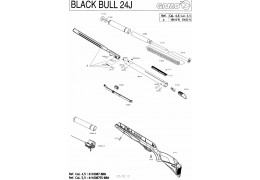 Gamo BLACK BULL 24J (03-10-12)